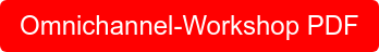 Omnichannel-Workshop PDF