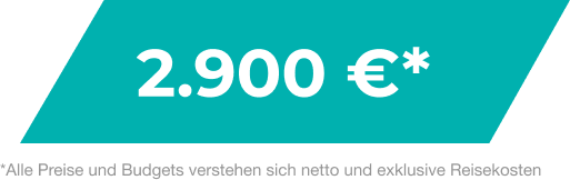 Pricing Pro